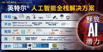 深化創新合作 英特爾加速人工智能應用軟件開發新進程